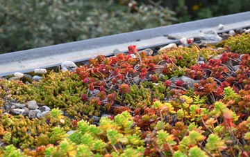 the cost of Rainbow Hill green roof installation